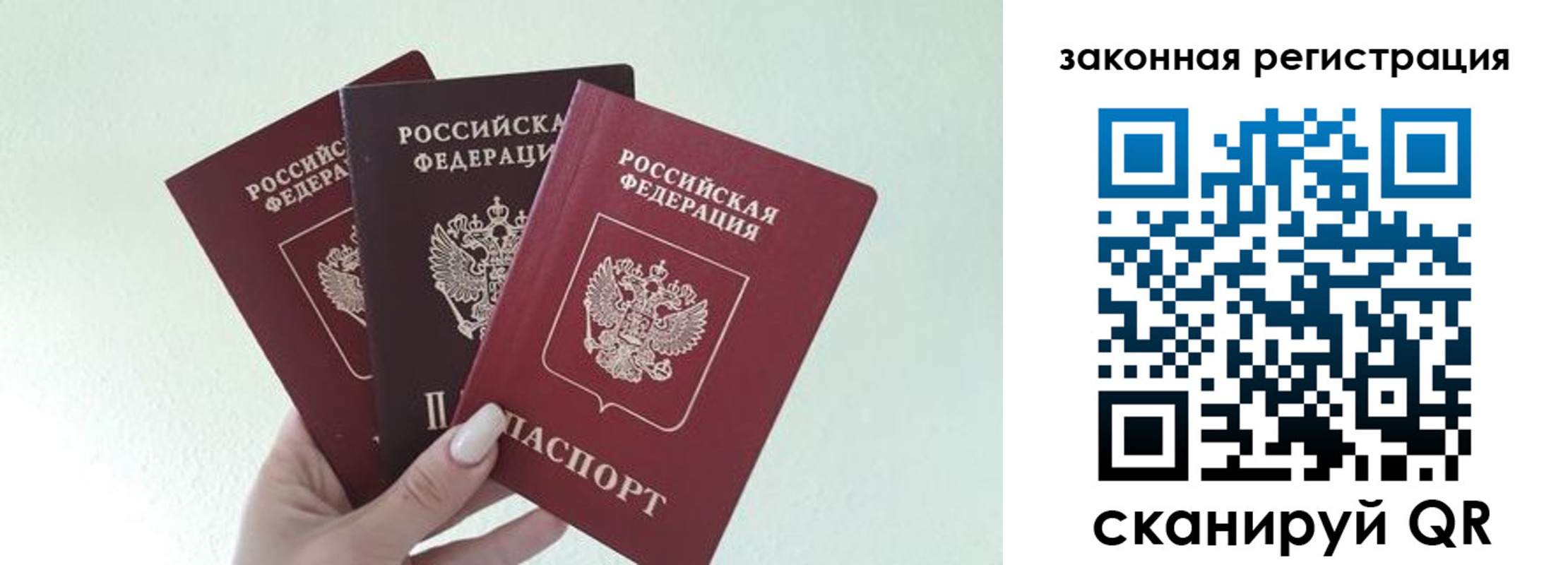 прописка 2025 в Тимашёвске